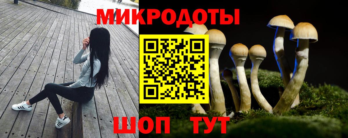 Псилоцибиновые грибы GOLDEN TEACHER Чистополь