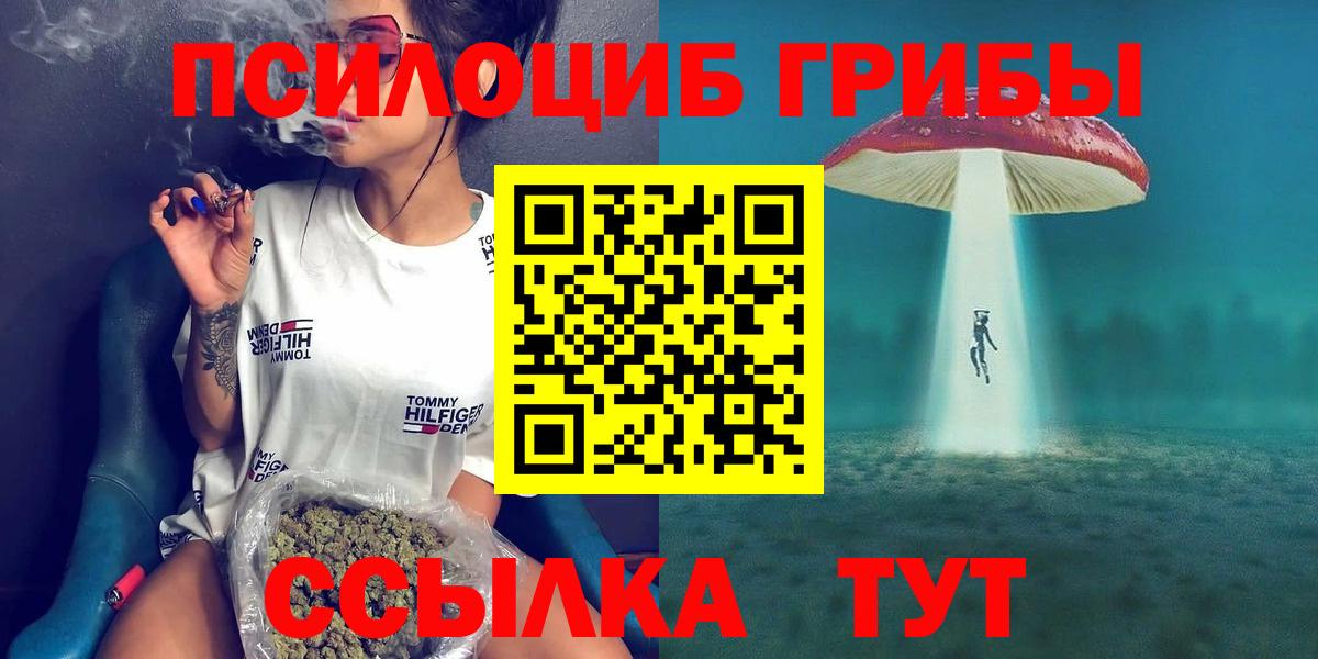 Галлюциногенные грибы мицелий  Галлюциногенные грибы Psilocybe  Вход с VPN  Чистополь 